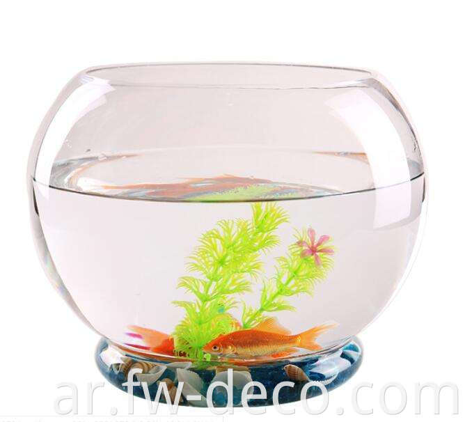 fish bowl